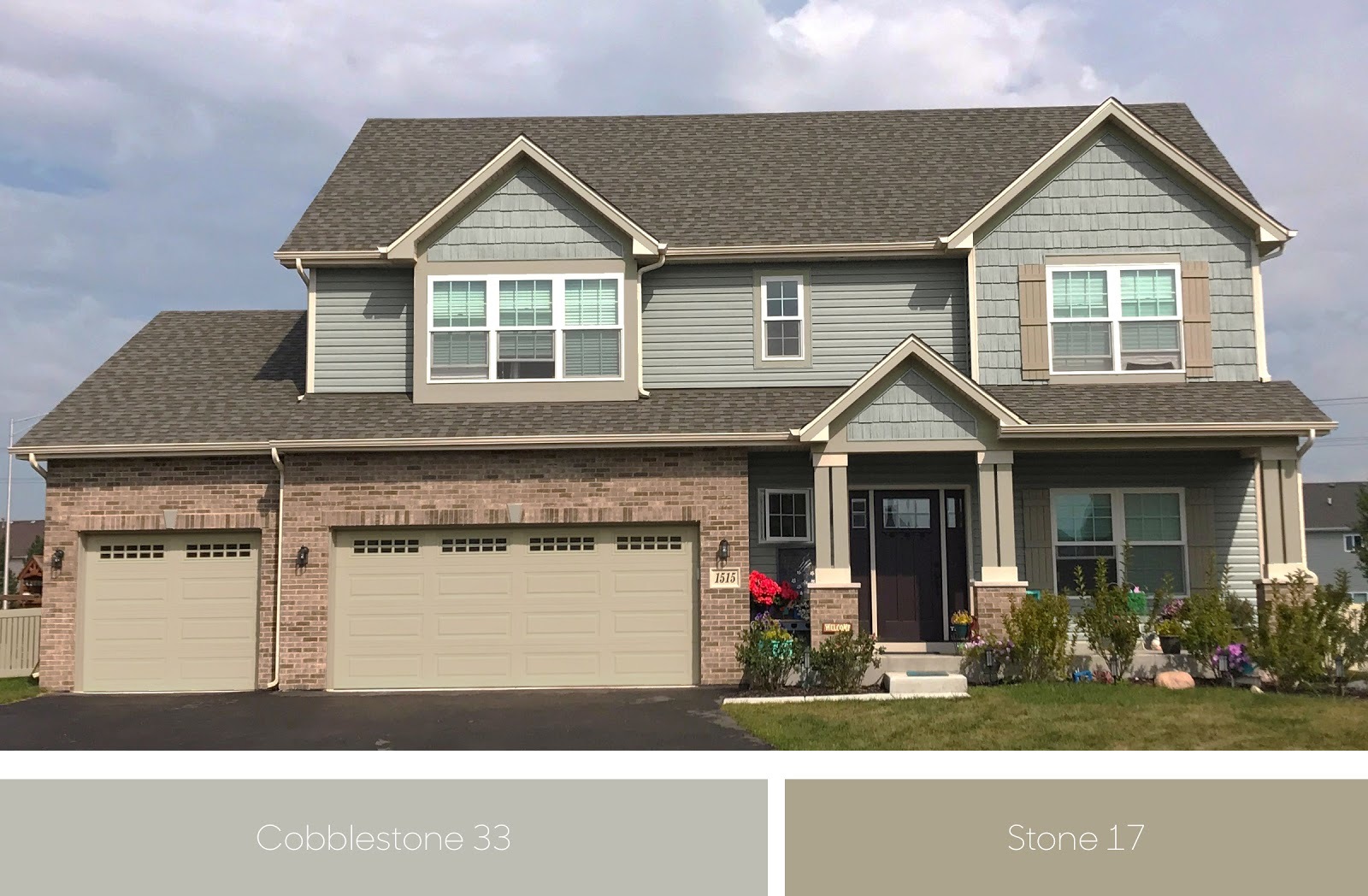 Rollex Color Trends September Image 3