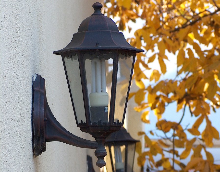 Autumn 1420676