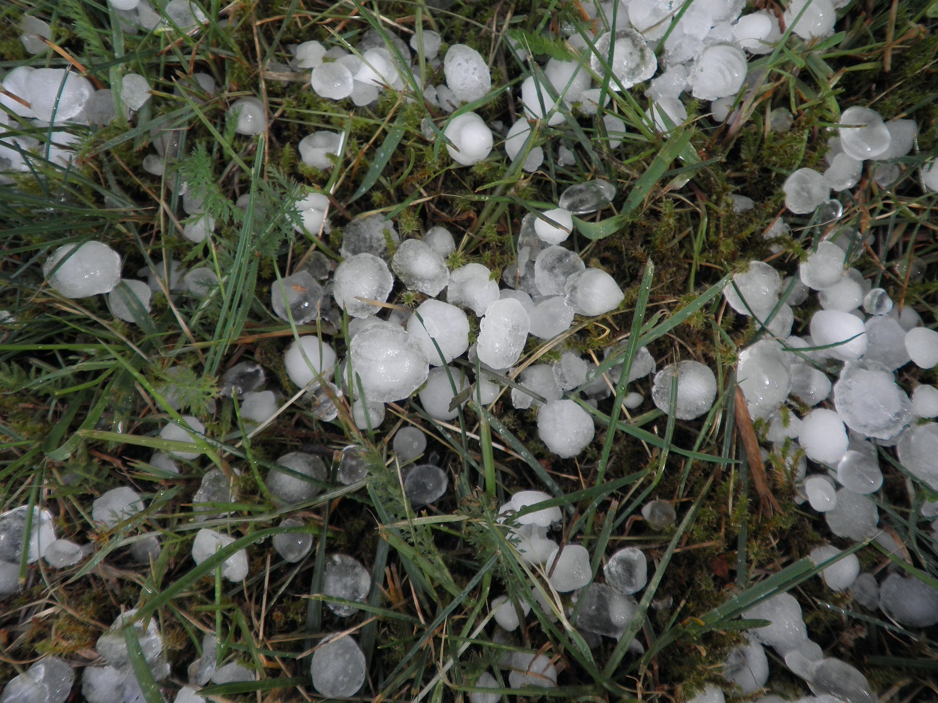 Why Steel Siding is Best in Regions Prone to Hail Storms