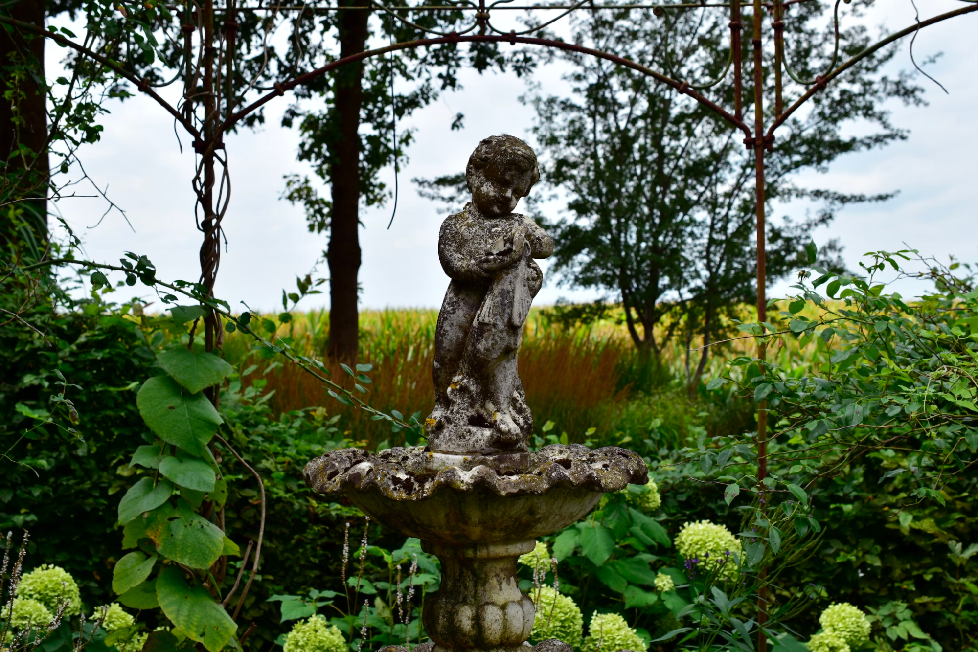 Outdoor Art Installations
