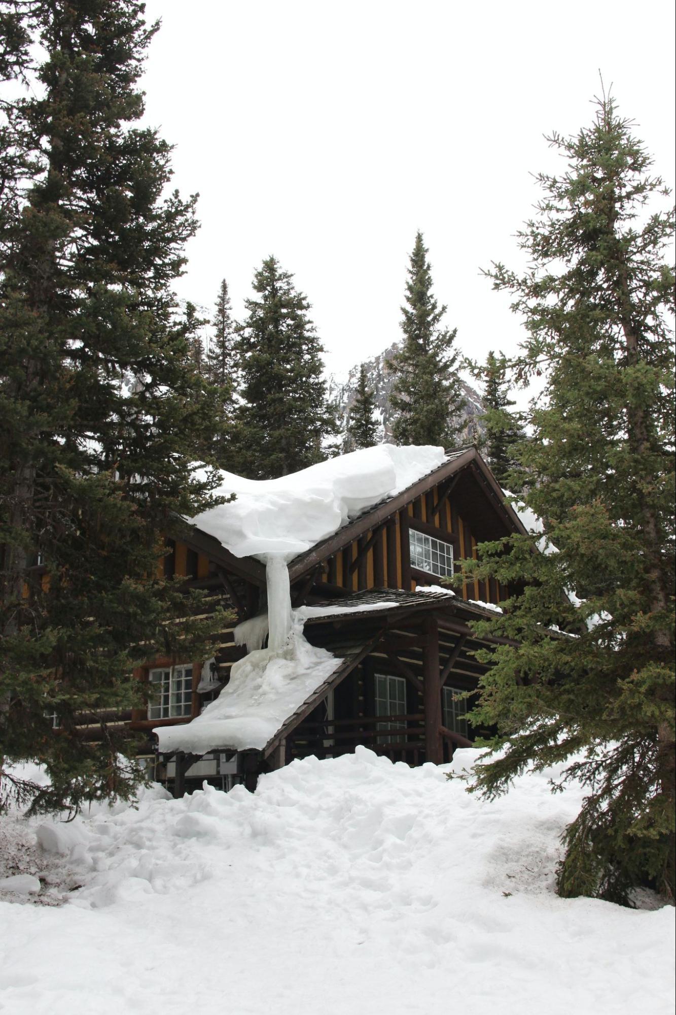 Image2
