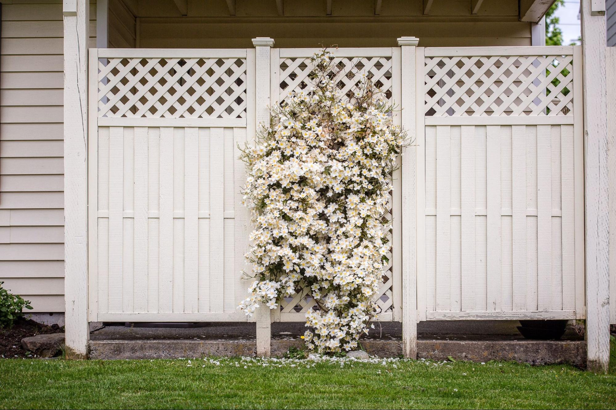 Vertical Gardens and Living Walls