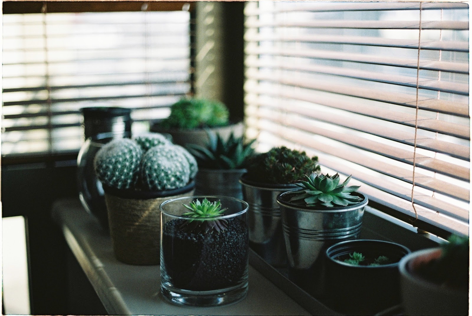 Interior Design Trends