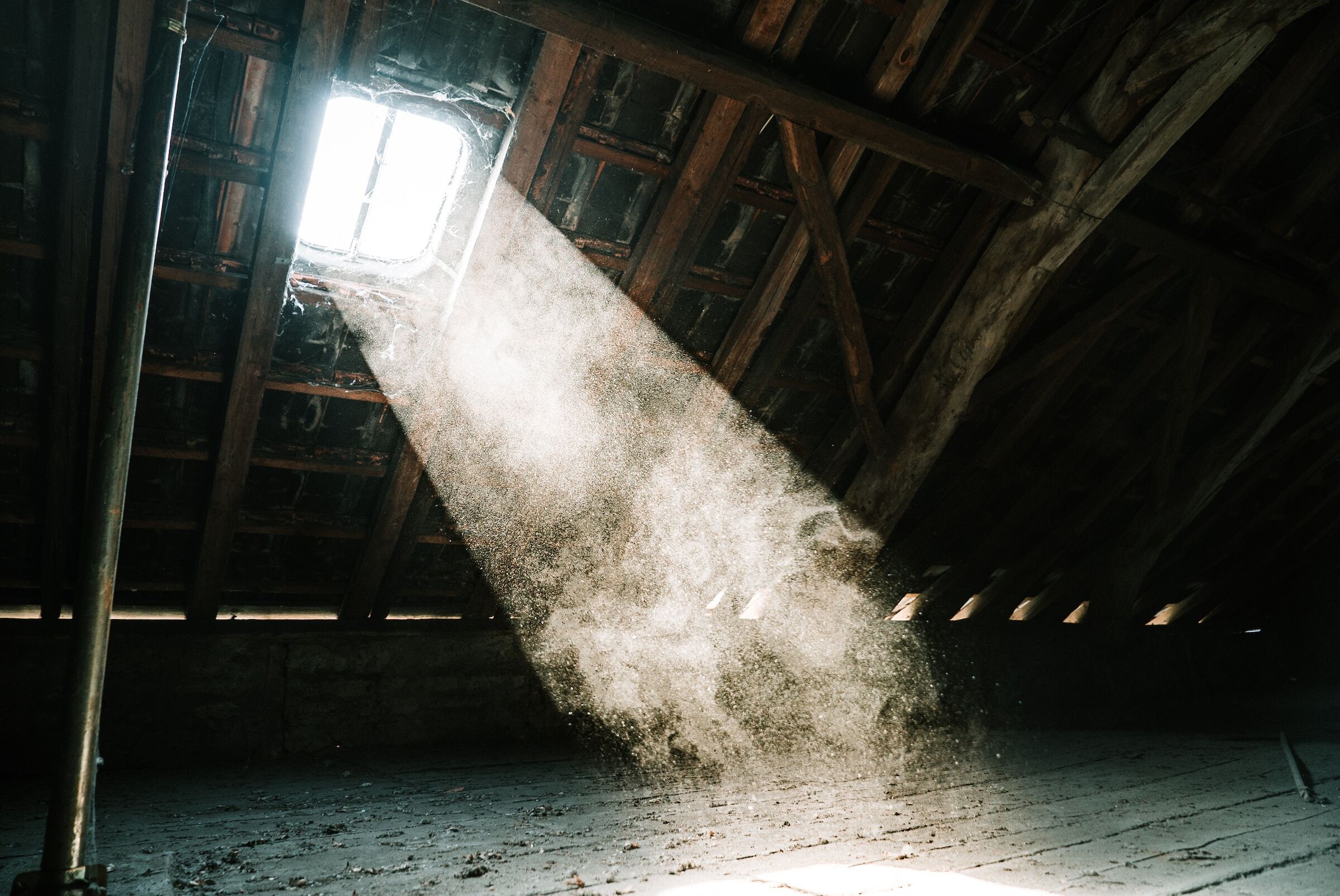 Mika Baumeister R V9M9 A5 M E Unsplash