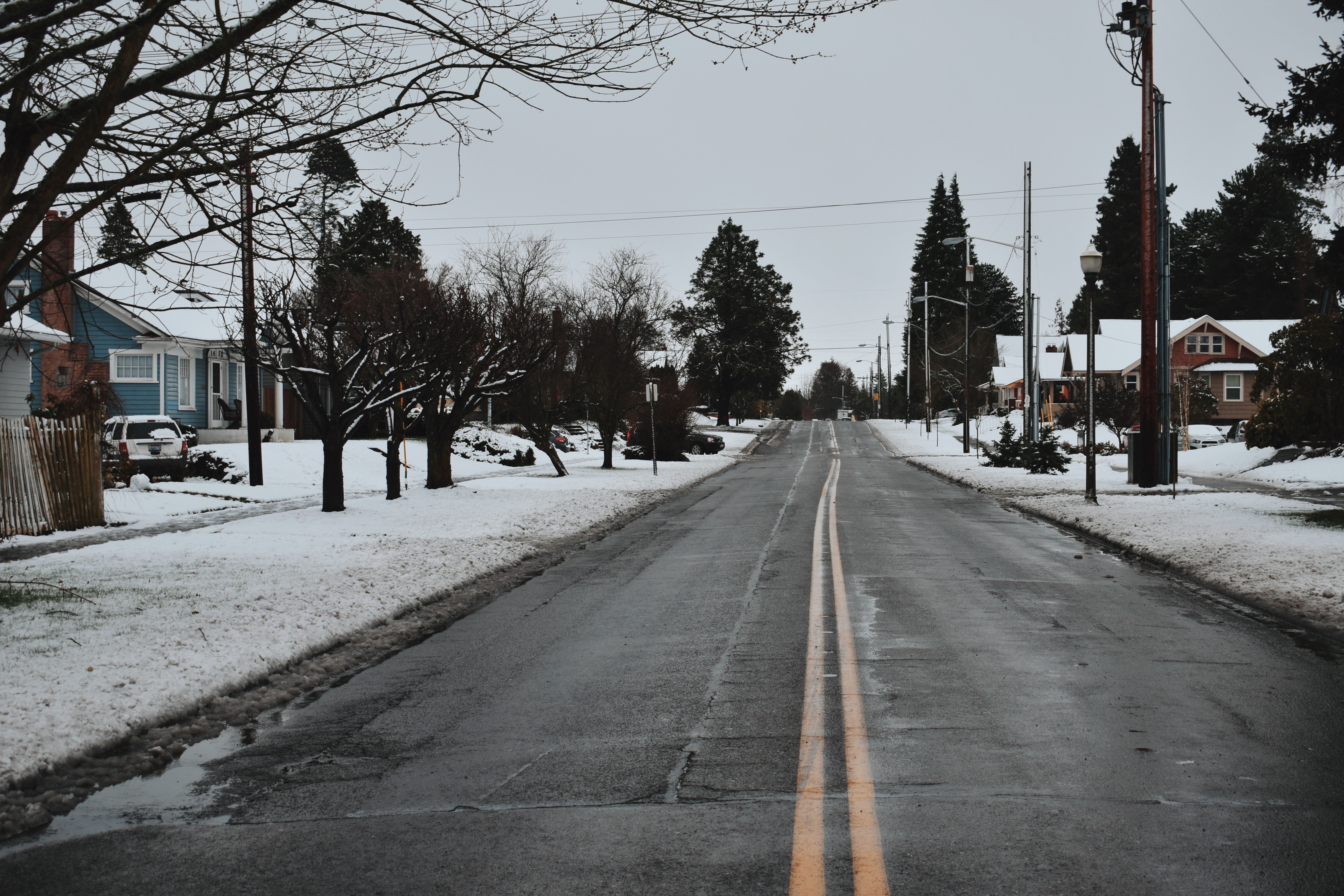 Nicole Ditt 733203 Unsplash