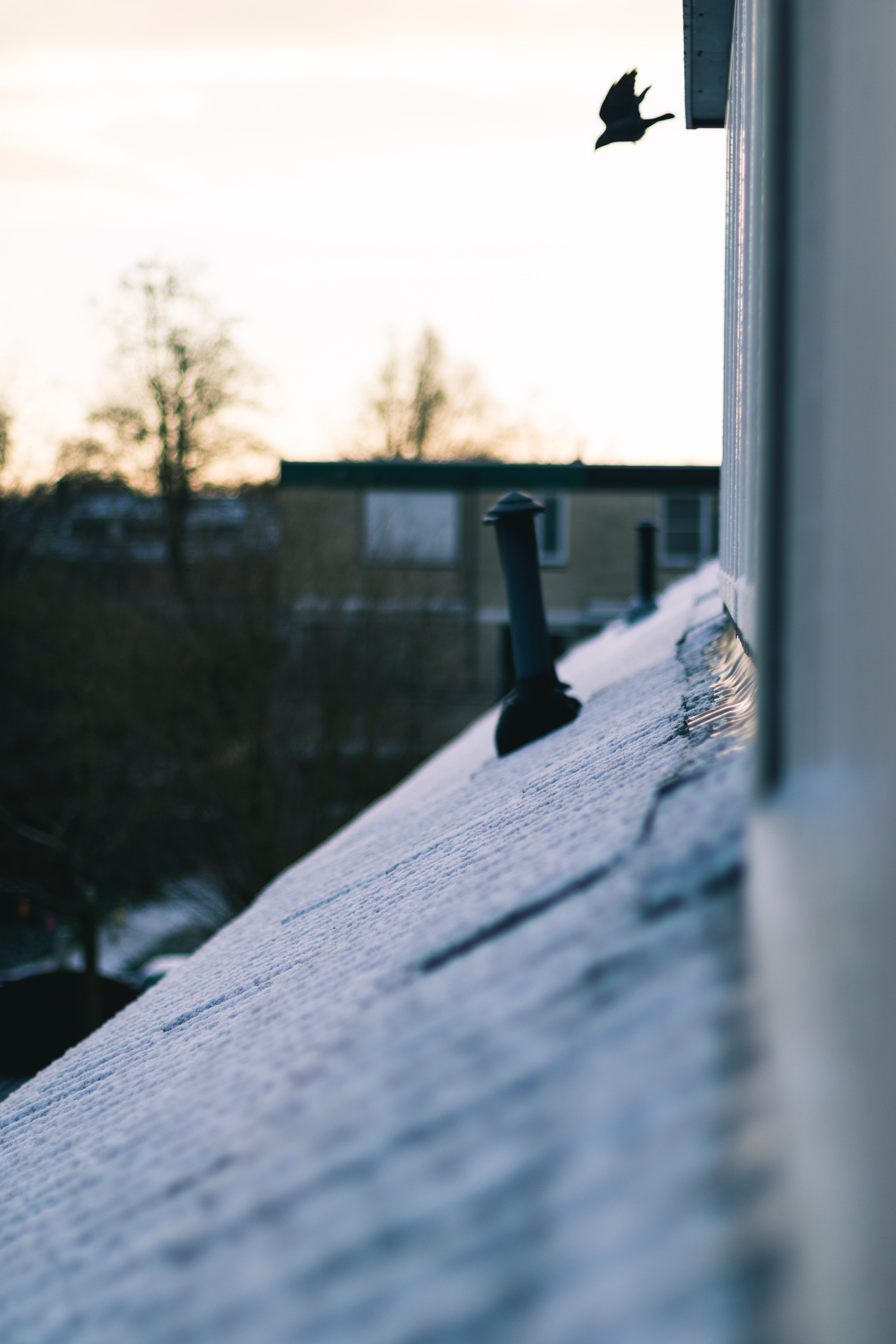 Thom Oudhuis 589Yu3 Mr9 F8 Unsplash
