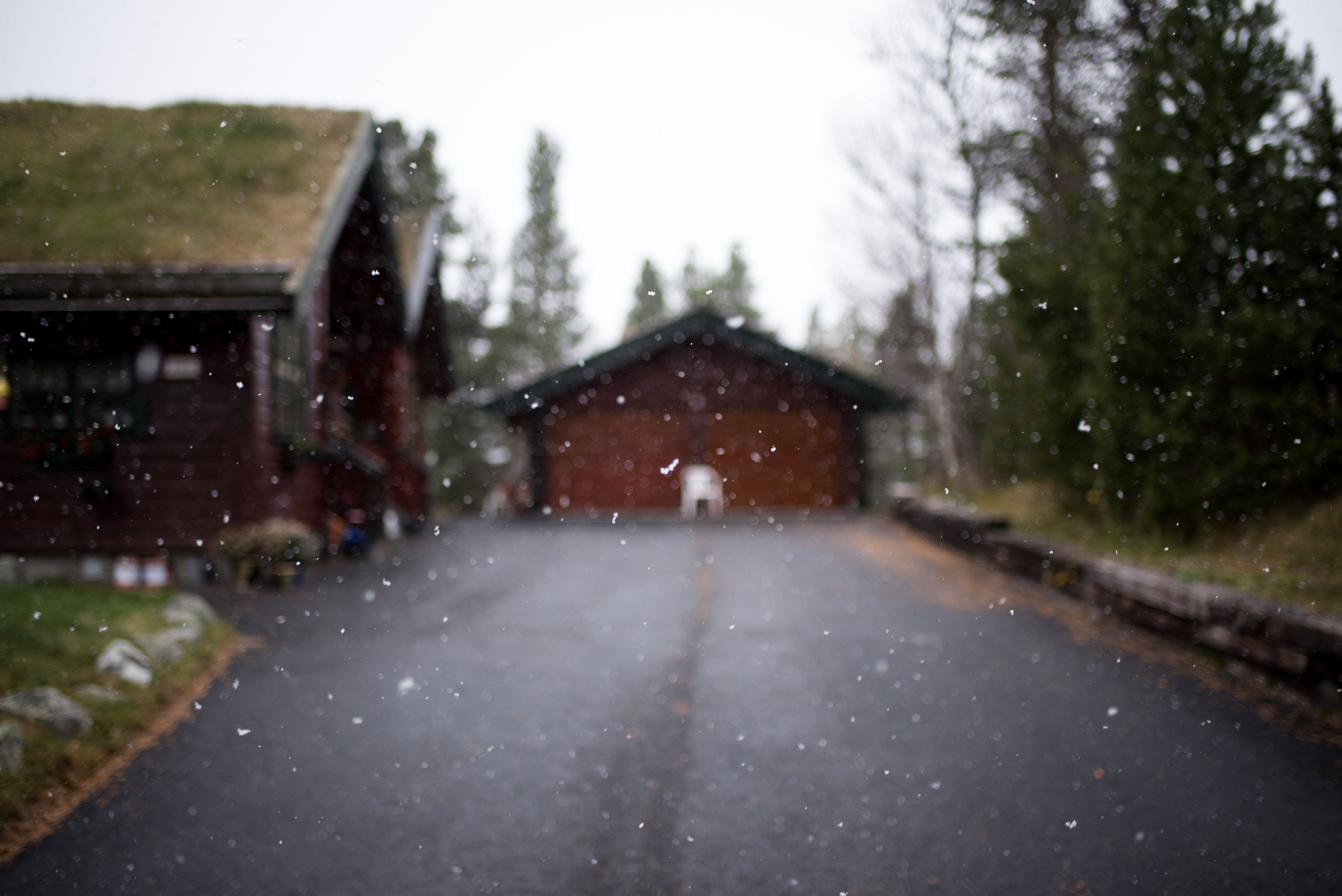 Thomas Griesbeck 411199 Unsplash