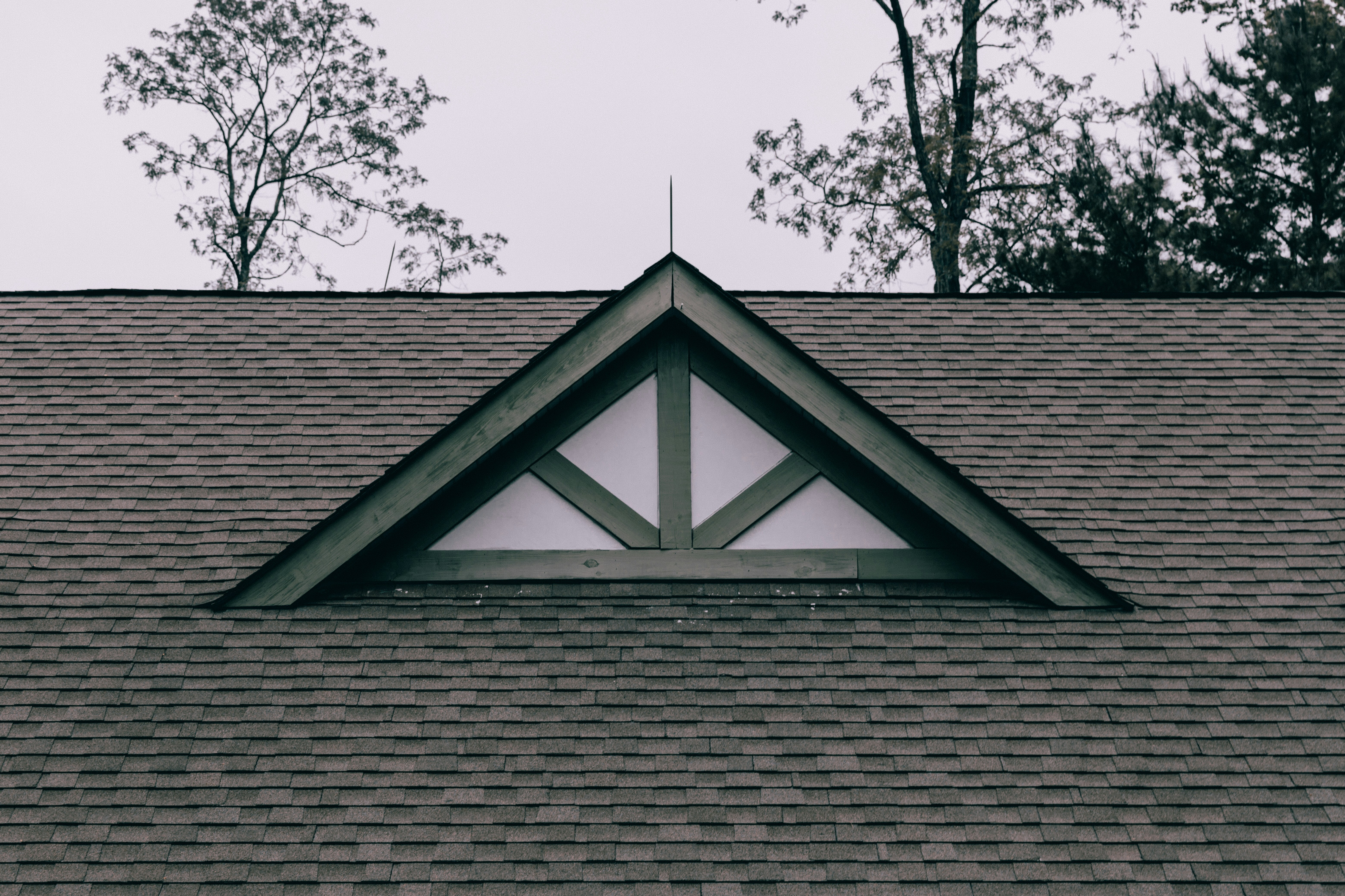 Yucel Moran Tnhk Snzpxd8 Unsplash